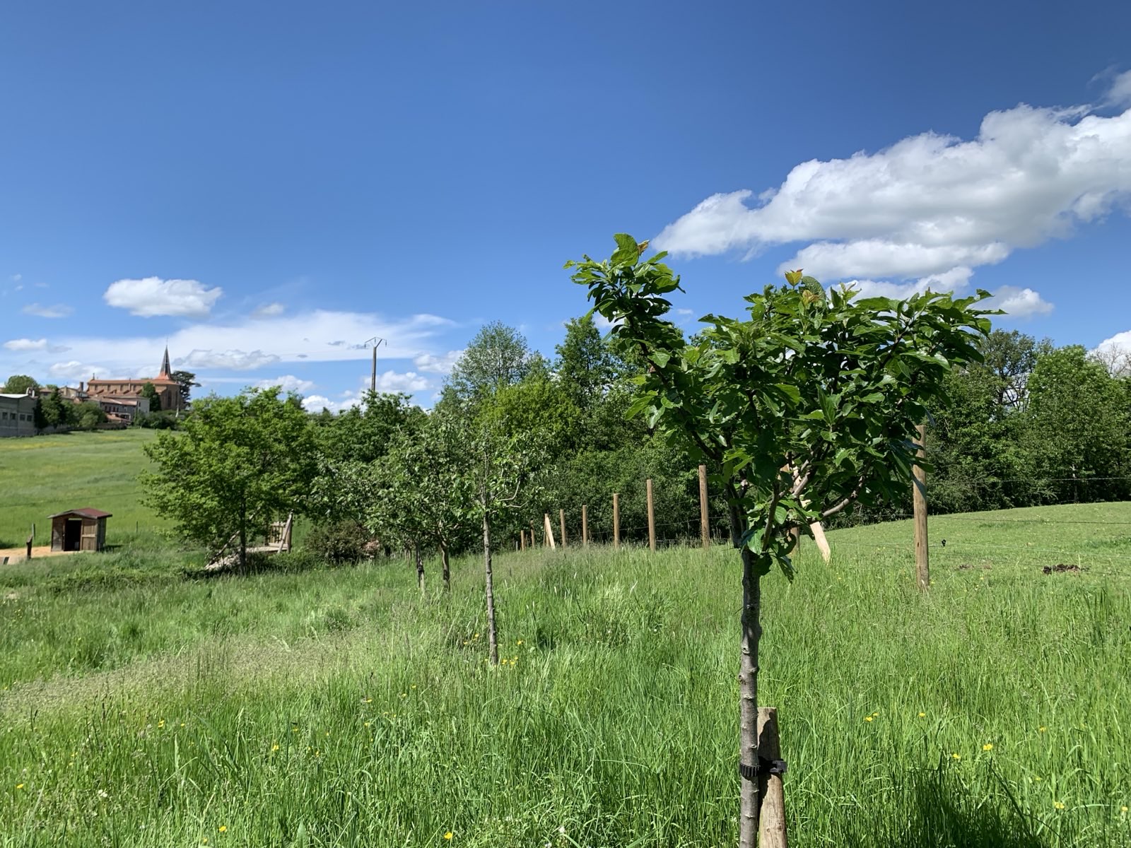 Signal 2024 05 17 152348 008