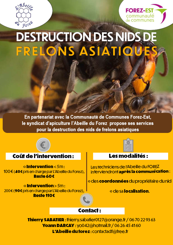 Capture d'écran 2025 06 18 112142