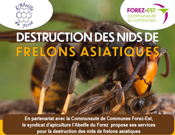 Capture d'écran 2025 06 18 112359