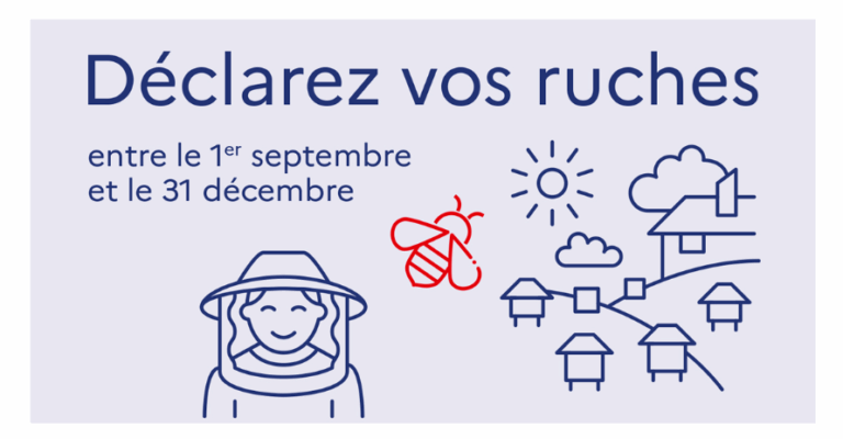 Capture d'écran 2025 09 02 111808