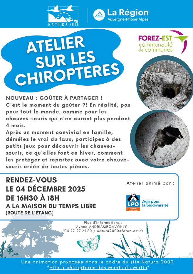 Capture d'écran 2025 10 31 091052