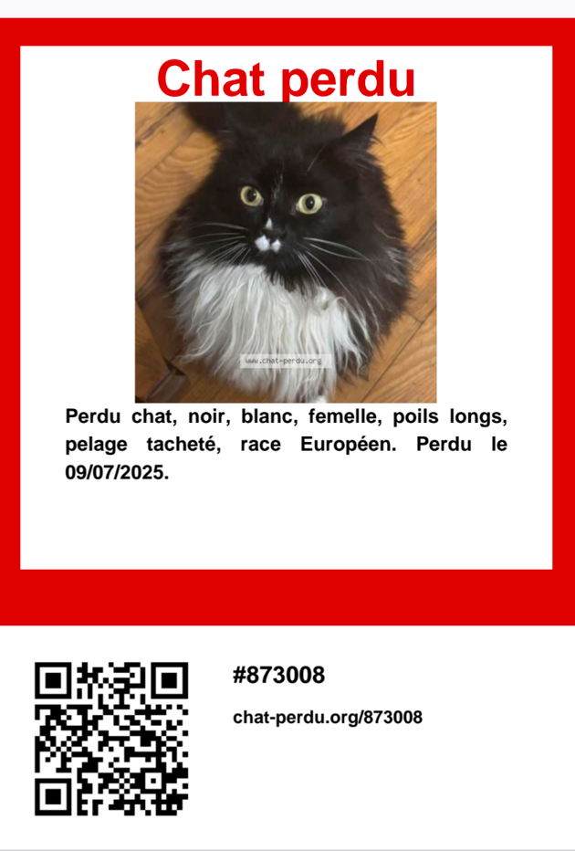 Capture d'écran 2025 11 17 150721