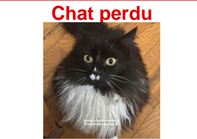 Capture d'écran 2025 11 18 113856