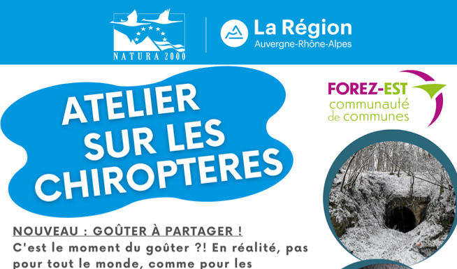 Capture d'écran 2025 11 19 103005