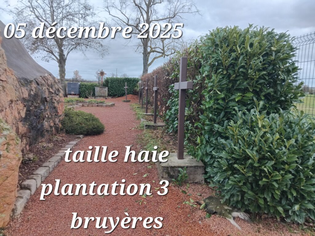 2025.GROTTE DE FELINES PLANTATIONS DECEMBRE