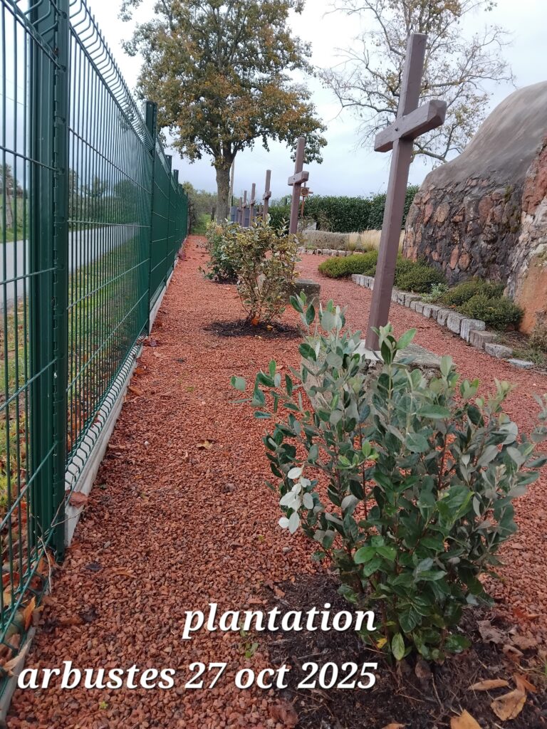 2025.GROTTE DE FELINES PLANTATIONS OCTOBRE