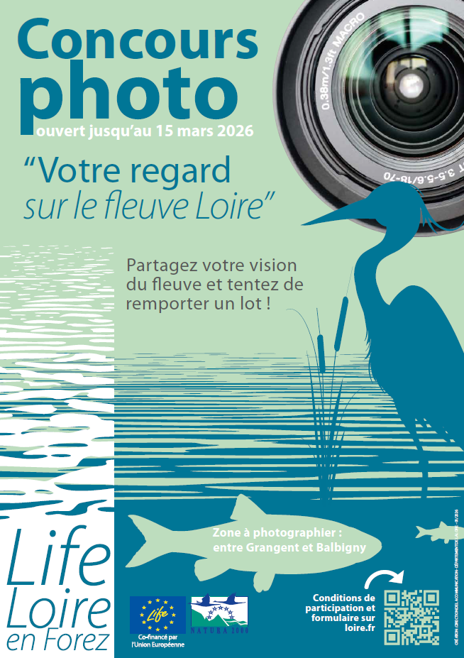 Capture d'écran 2026 01 12