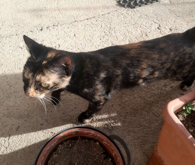 Capture d'รฉcran 2026 01 30