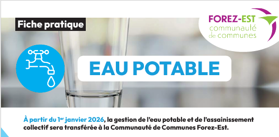 Capture d'écran 2026 02 25