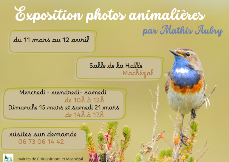 Capture d'écran 2026 03 16