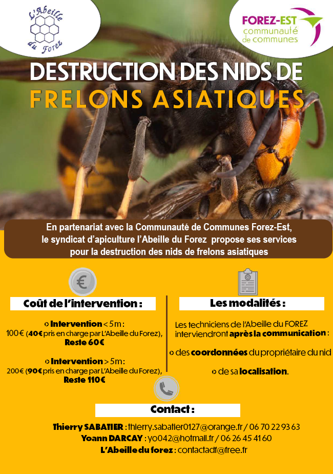 Capture d'écran 2026 03 31