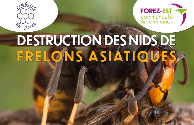 Capture d'écran 2026 03 31